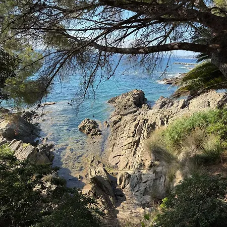 à Saint-aygulf - Plages Et Commerces à Pied Appartement Fréjus